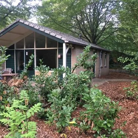 Vakantiebungalow De Schaapskooi-3